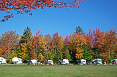 Campsites at Peppermint Park Camping Resort